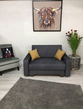bed sofa